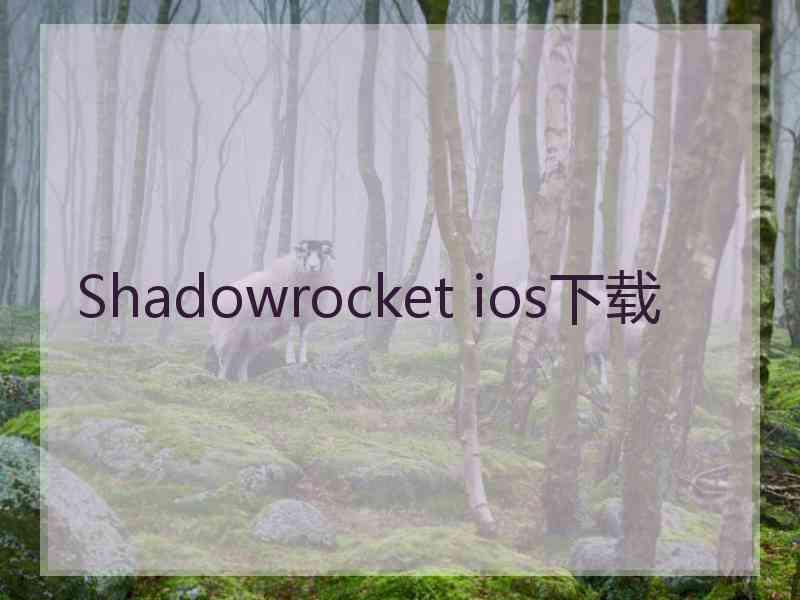Shadowrocket ios下载