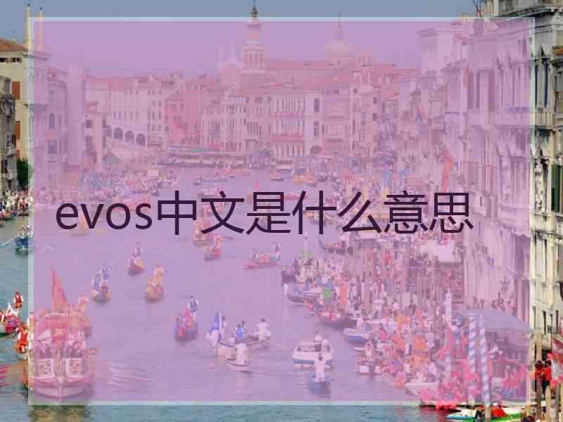 evos中文是什么意思