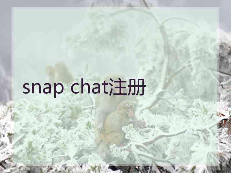 snap chat注册