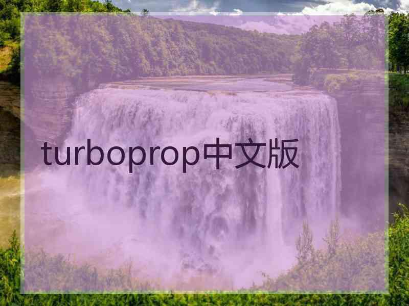 turboprop中文版