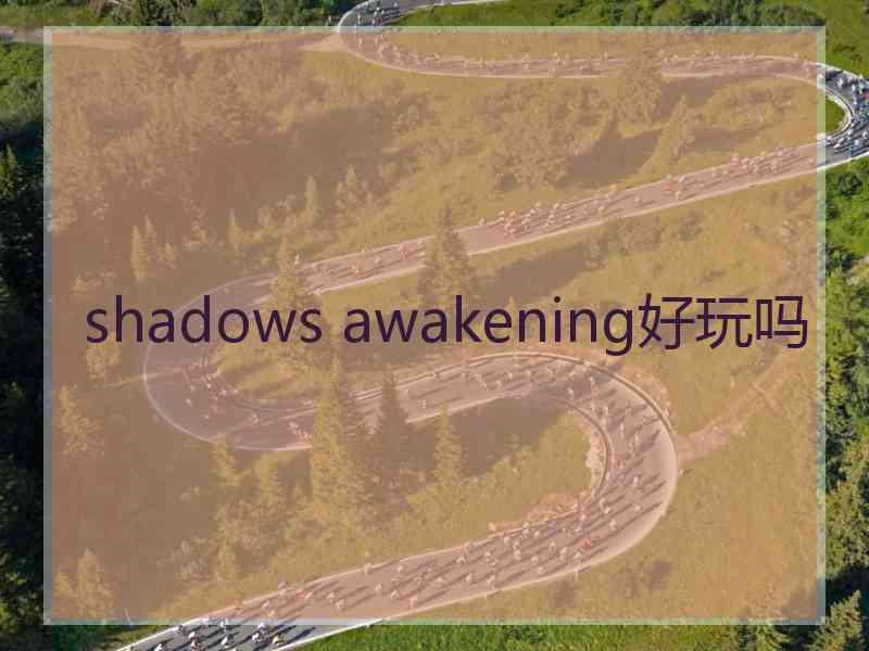 shadows awakening好玩吗