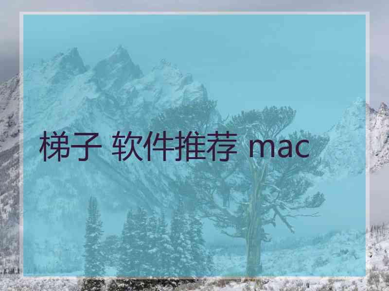 梯子 软件推荐 mac