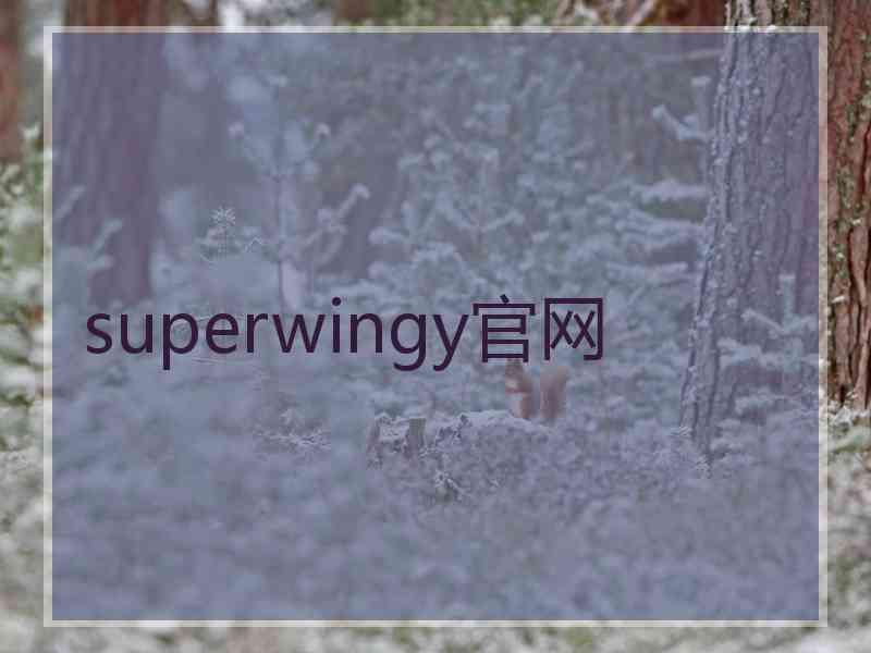 superwingy官网